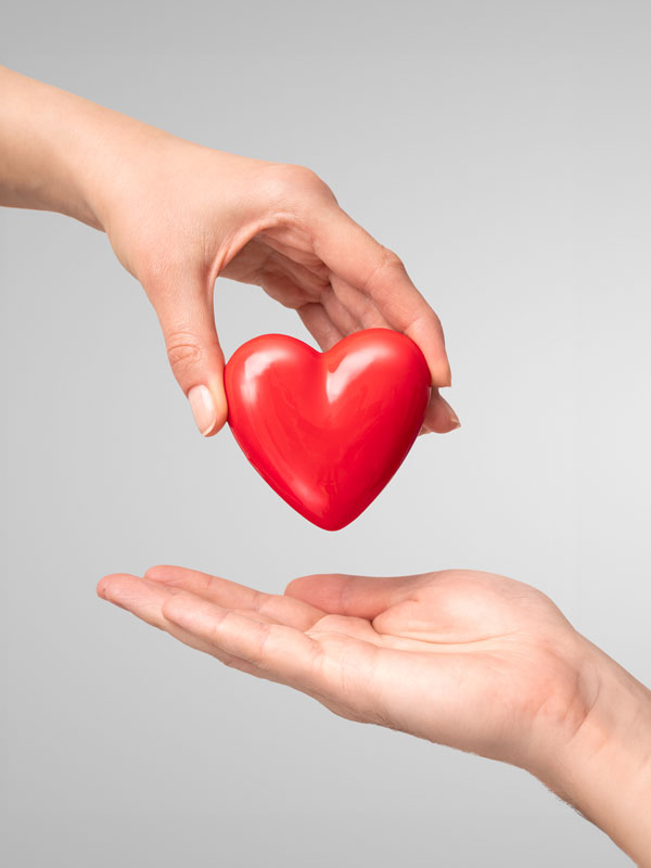 person giving a heart shaped object to another person.